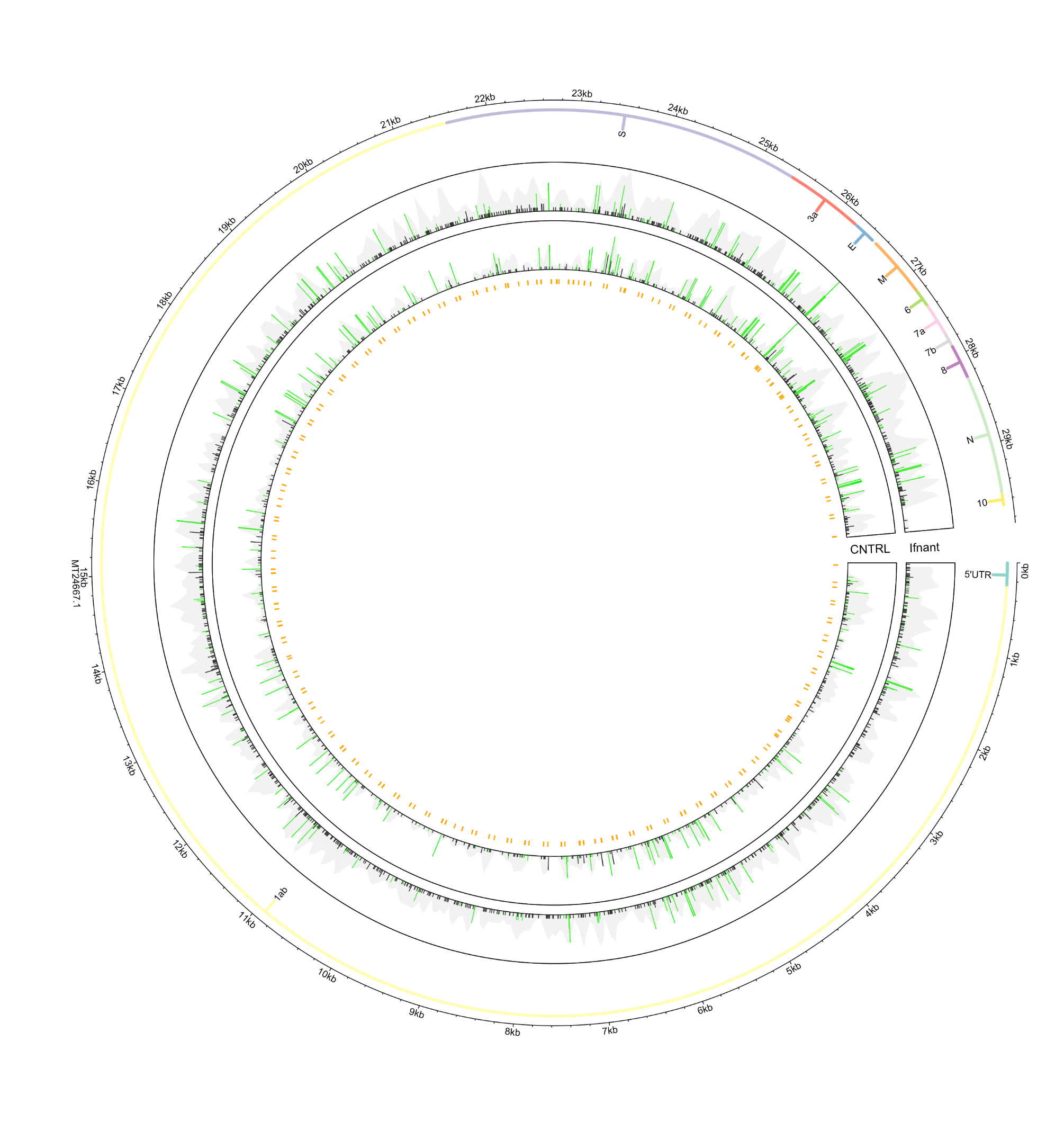 Example Circos plot