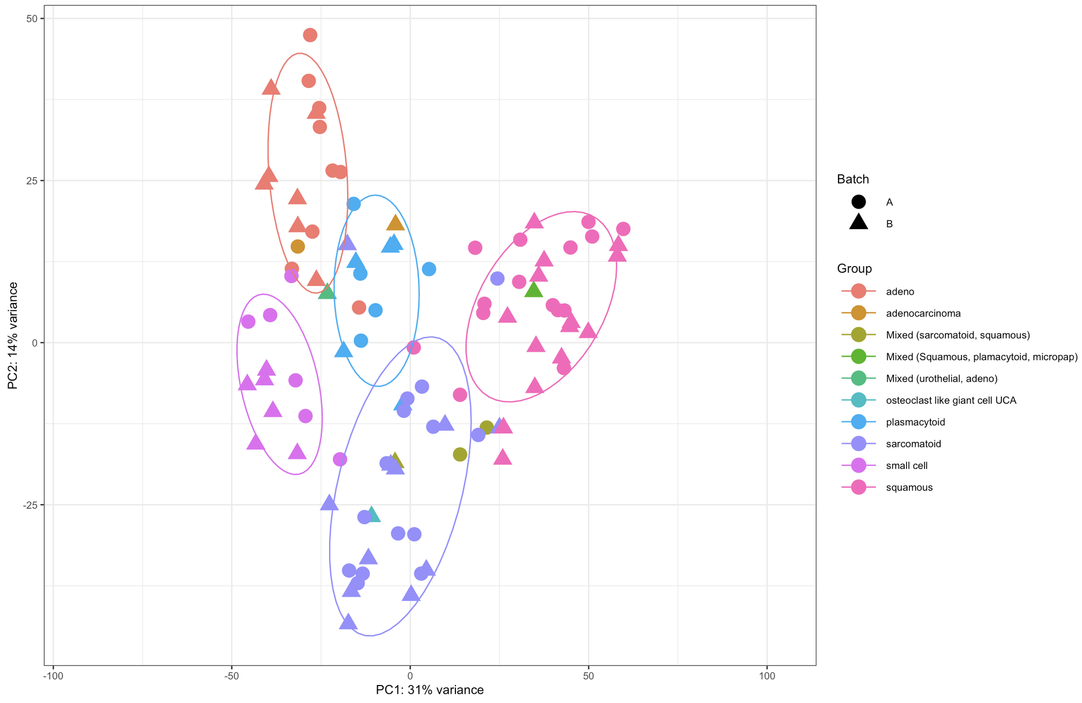 Example PCA plot